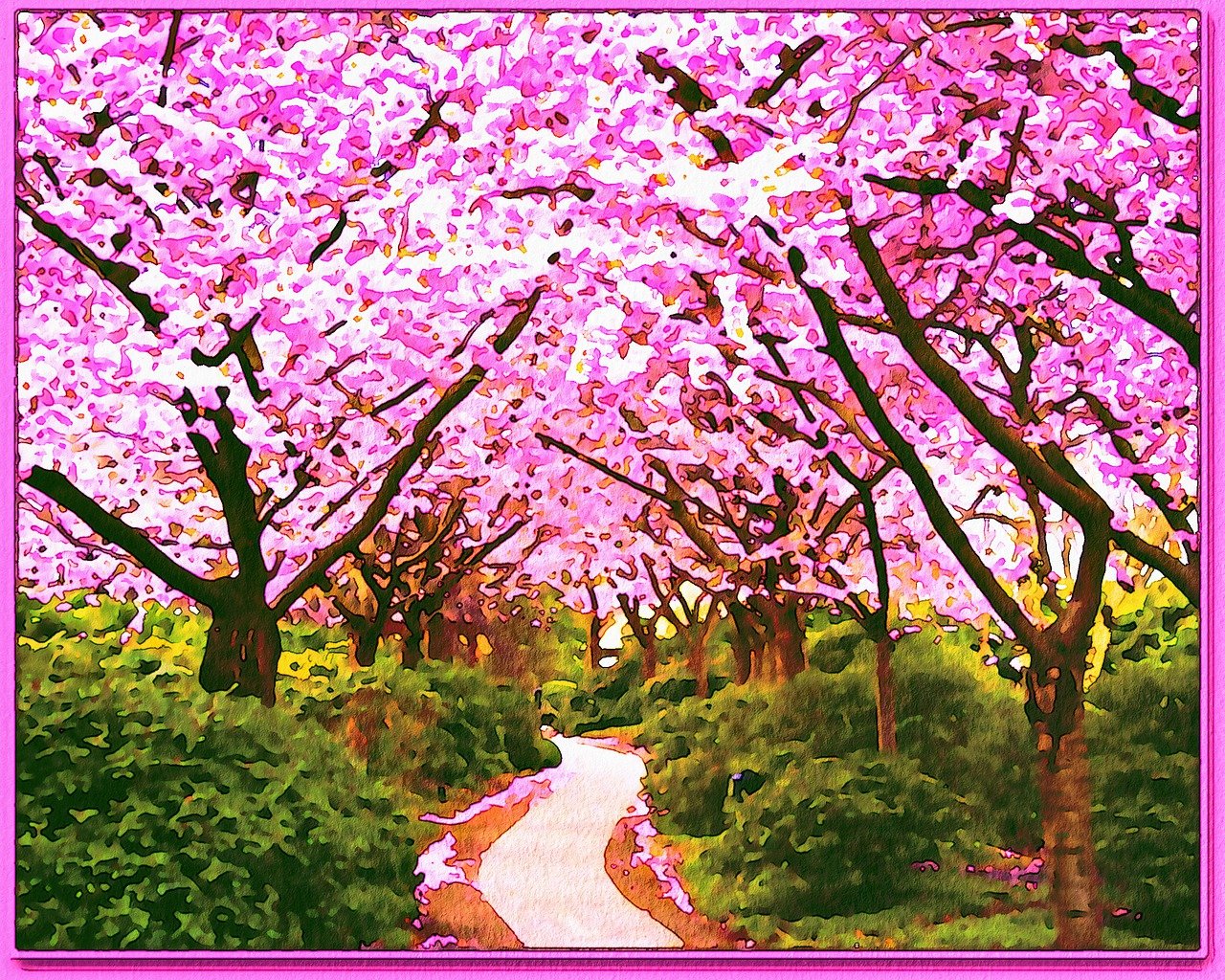 cherry blossom, sakura, trees